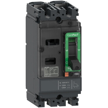 SCHNEIDER C16F2TM160 160A 18kA 2 KUTUP DC TER.MAN.KOR.ŞALTER - 1