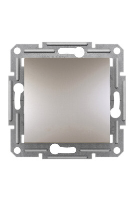 SCHNEIDER EPH0100169 ASFORA BRONZ ANAHTAR - 1