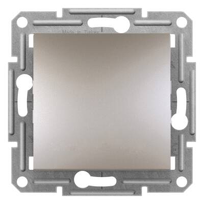 Schneider Electric EPH0200169 EPH0200169 ÇİFT KUTUPLU ANAHTAR BRONZ - 1