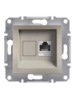 Schneider Electric EPH4300169-02 EPH4300169-02 2*RJ45 CAT5-UTP KONNEKTÖRSÜZ BRONZ - SCHNEIDER