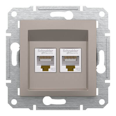 Schneider Electric EPH4400169 EPH4400169 2*RJ45 CAT5e-UTP BRONZ - 1