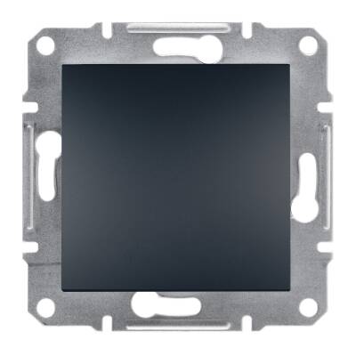 SCHNEIDER EPH5600171 ASFORA ANTRASİT ÇERÇEVESİZ KÖR KAPAK - 1
