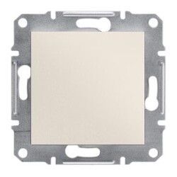 Schneider Electric EPH5670123 EPH5670123 KÖR KAPAK KREM ÇERÇEVESİZ - SCHNEIDER