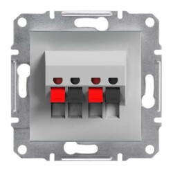 Schneider Electric EPH5700161 EPH5700161 HOPARLÖR PRİZİ İKİLİ ALÜMİNYUM - SCHNEIDER