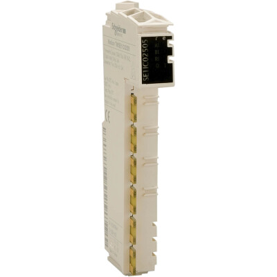 SCHNEIDER TM5SE2IC01024 TM5SE2IC01024 HIZLI SAYICI MODÜLÜ-2 HSC-100 KHz - 1