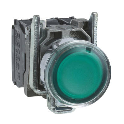 XB4BW3365 YEŞİL 250 V 22mm METAL BUTON - 1