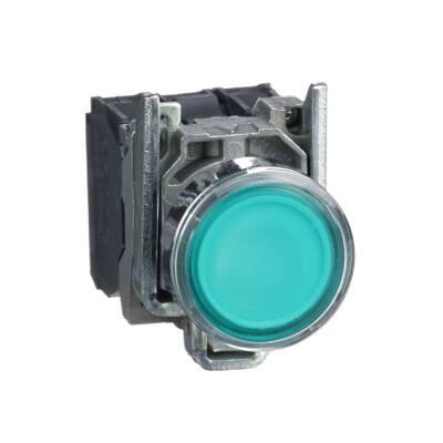 XB4BW33B5 YEŞİL 24 V AC/DC LEDLİ 22mm METAL BUTON - 1